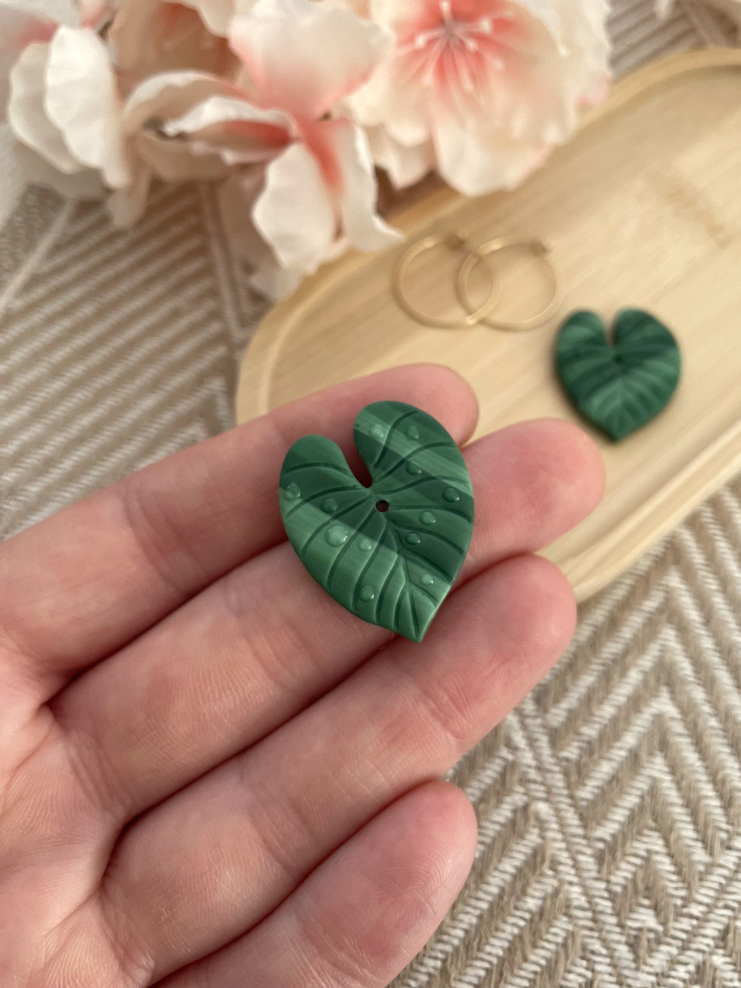 Monstera