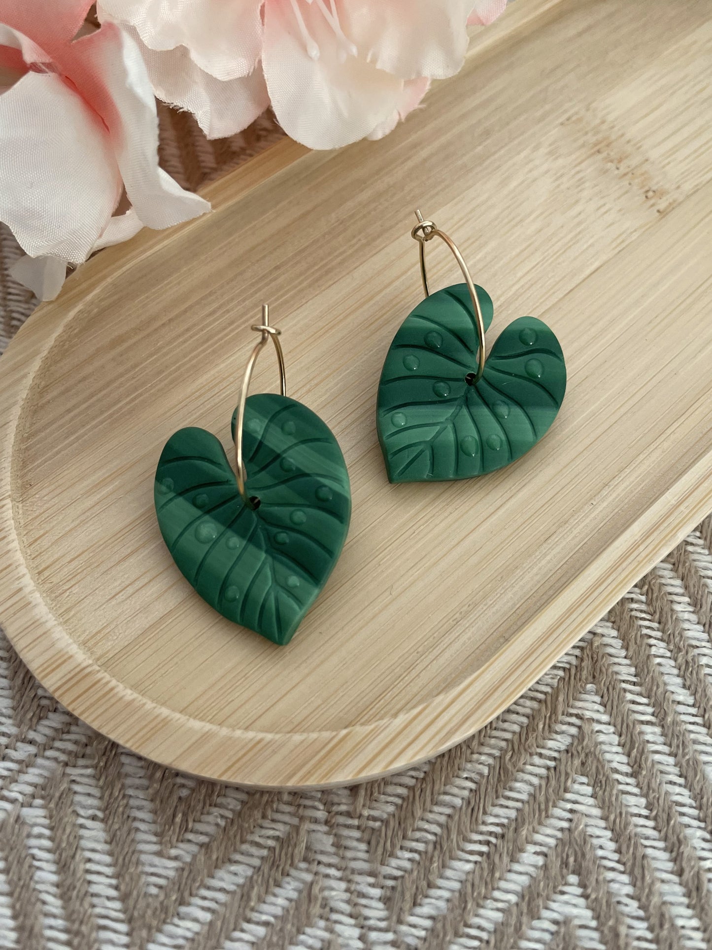 Monstera